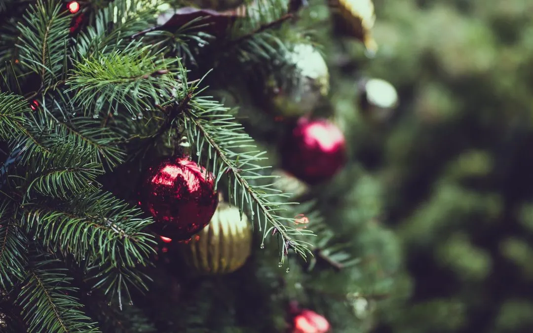 Electrical Safety at Christmas